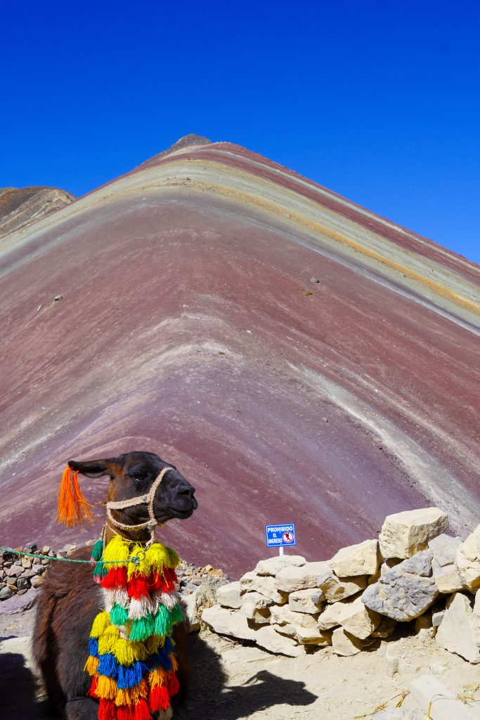 Lama rainbow mountain