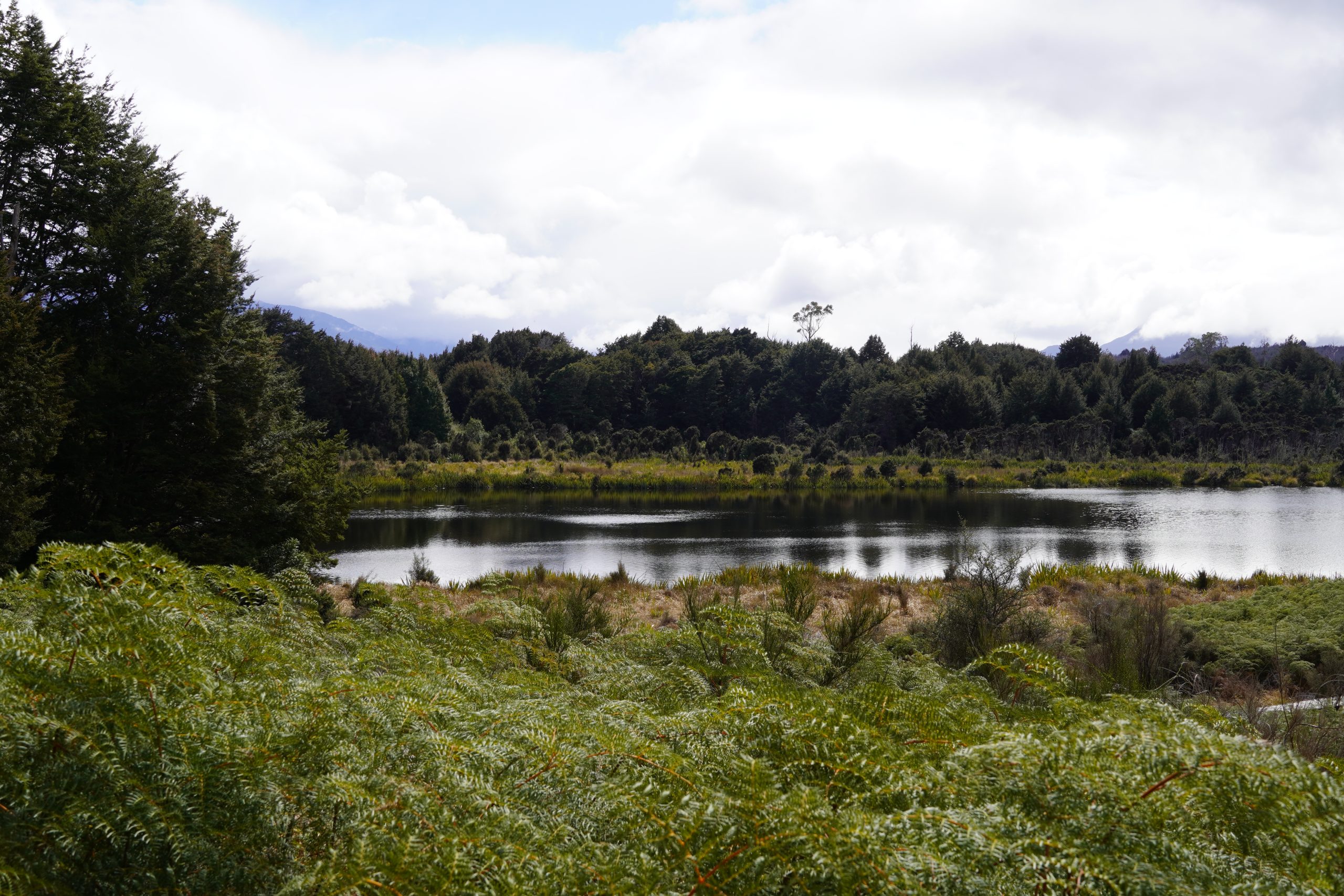 Lake Mistletoe, Nieuw-Zeeland