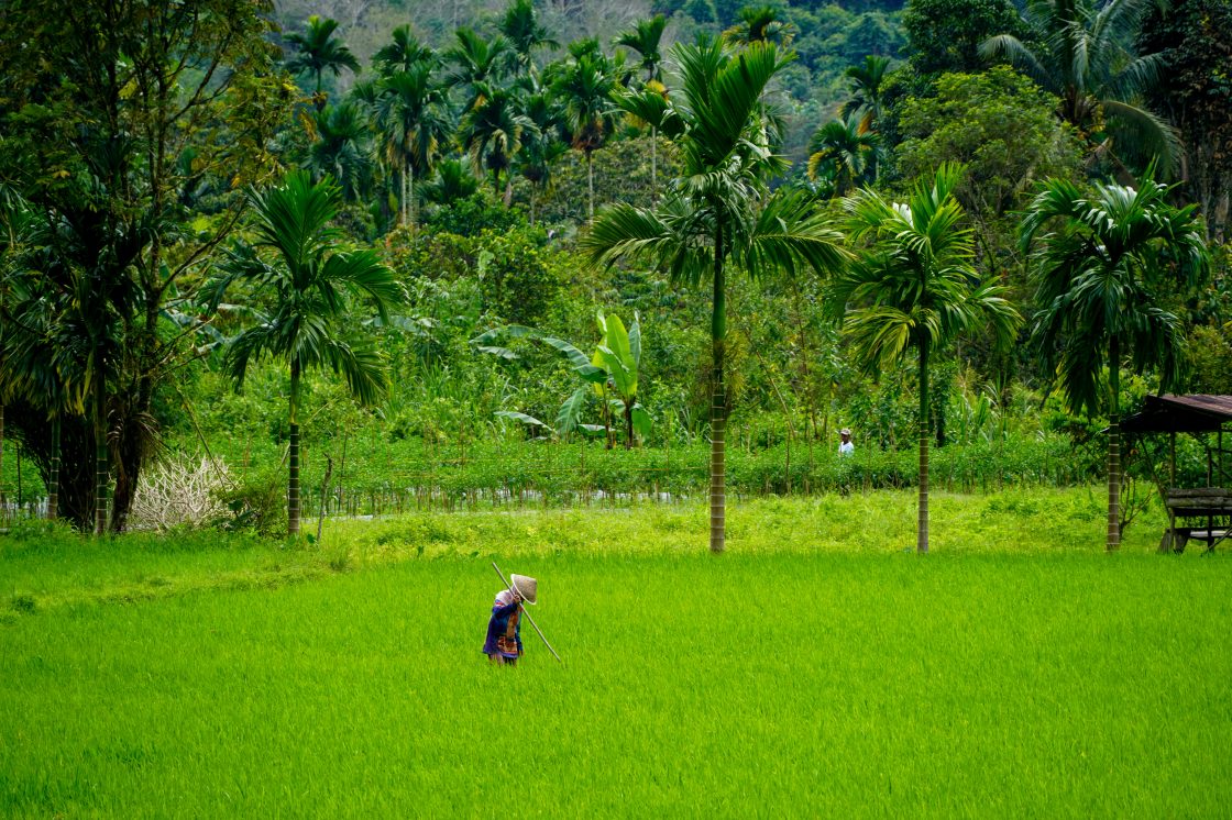 Indonesië